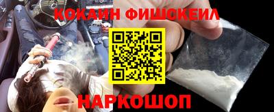 индика Камень-на-Оби