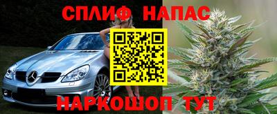 индика Камень-на-Оби