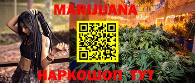индика Камень-на-Оби