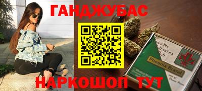 индика Камень-на-Оби