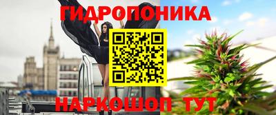 индика Камень-на-Оби