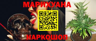индика Камень-на-Оби