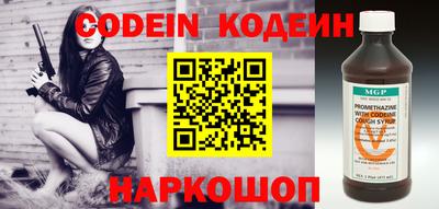 индика Камень-на-Оби