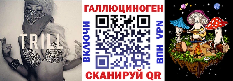 Галлюциногенные грибы Psilocybine cubensis  Черемхово 