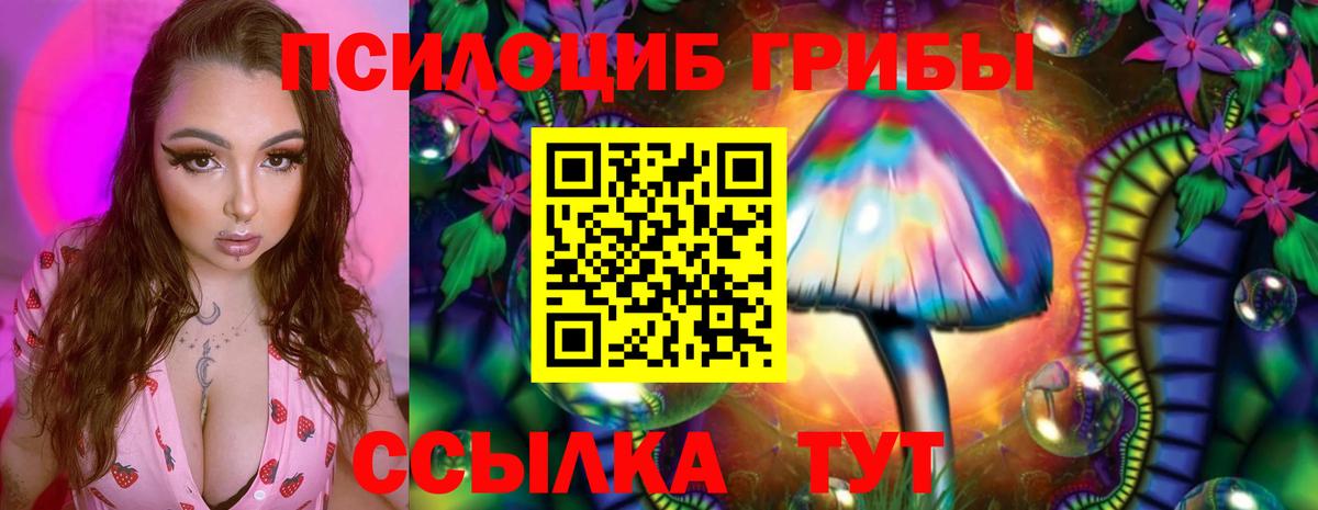 Галлюциногенные грибы Cubensis Черемхово