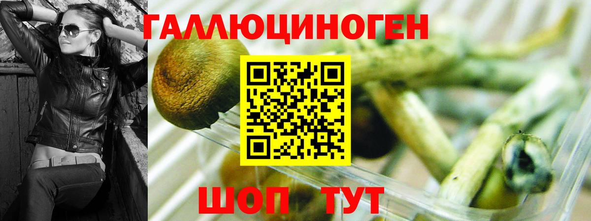 Галлюциногенные грибы прущие грибы  Псилоцибиновые грибы мухоморы  Черемхово  Вход с VPN 
